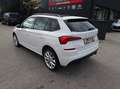 Skoda Kamiq 1,5 TSI ACT Style DSG Wit - thumbnail 17