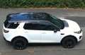 Land Rover Discovery Sport Sport TD4 Aut. HSE Weiß - thumbnail 1