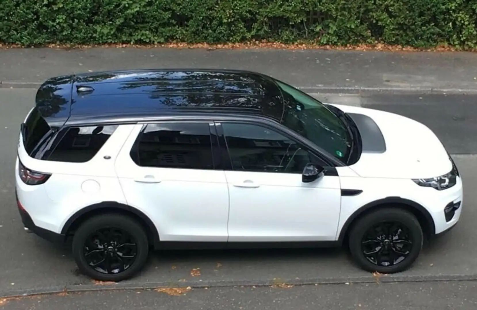 Land Rover Discovery Sport Sport TD4 Aut. HSE Weiß - 1