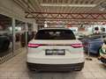 Porsche Cayenne E-Hybrid Panorama Weiß - thumbnail 9