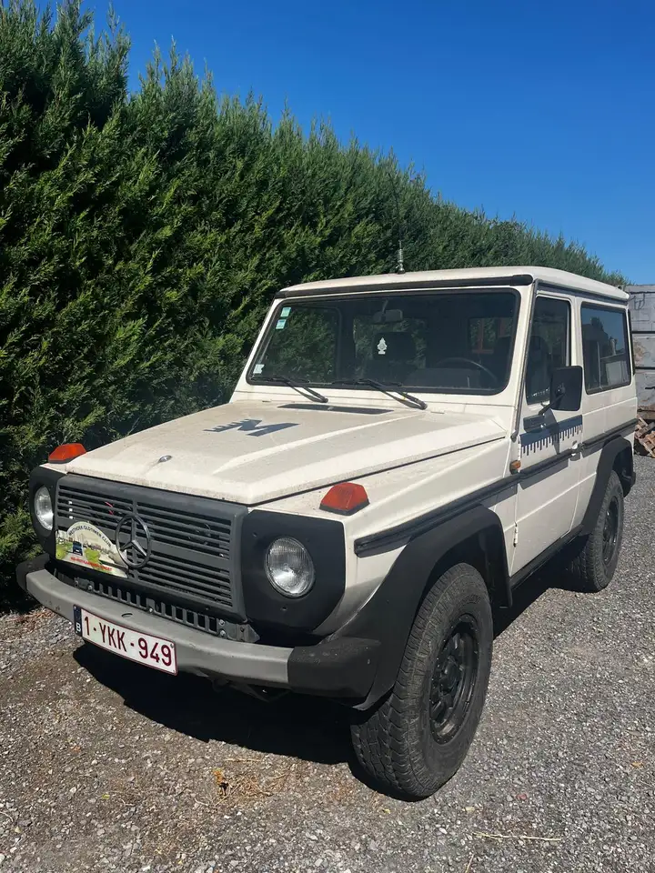 Mercedes-Benz G 230, foto 1