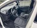 Mercedes-Benz B 180 Classe B - T246 cdi Premium auto Weiß - thumbnail 8