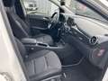 Mercedes-Benz B 180 Classe B - T246 cdi Premium auto Weiß - thumbnail 7