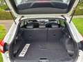 Nissan Qashqai 1.2 TEKNA - thumbnail 4
