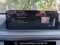Mazda CX-30 2.5L 140ps 6AT Nagisa Kunstleder BOSE Beige - thumbnail 18