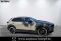 Mazda CX-30 2.5L 140ps 6AT Nagisa Kunstleder BOSE Beige - thumbnail 3