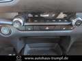 Mazda CX-30 2.5L 140ps 6AT Nagisa Kunstleder BOSE Beige - thumbnail 20
