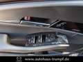 Mazda CX-30 2.5L 140ps 6AT Nagisa Kunstleder BOSE Beige - thumbnail 15