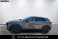 Mazda CX-30 2.5L 140ps 6AT Nagisa Kunstleder BOSE Beige - thumbnail 1