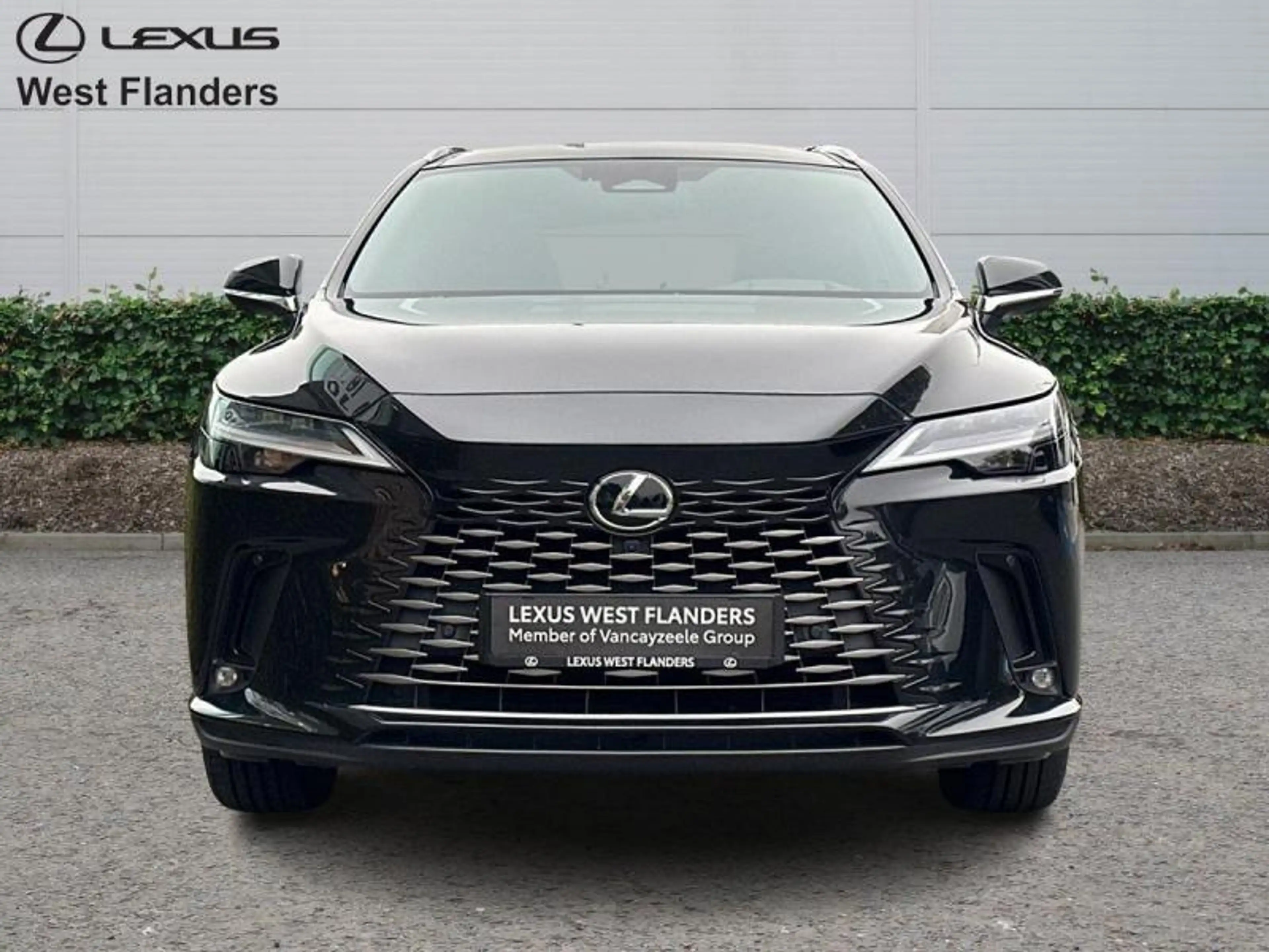 Lexus RX 450h Privilege Line 4x4+panodak+360°cam+nav+sens V+A — photo 2