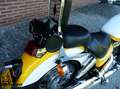 Honda VT 1100 1100C2 Shadow ACE Gelb - thumbnail 23