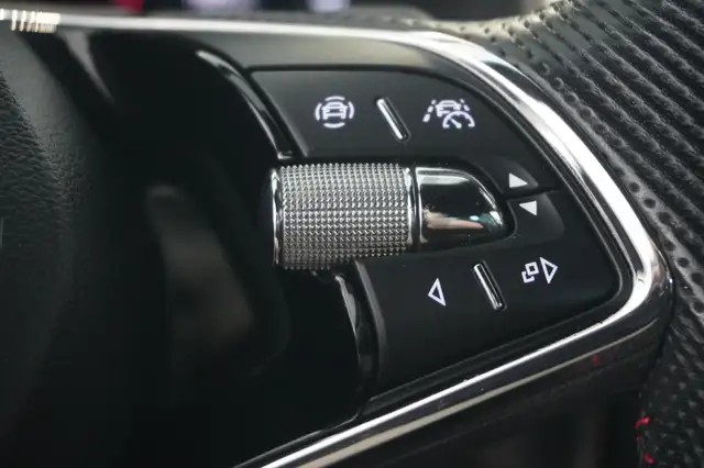 Skoda Kodiaq view 13