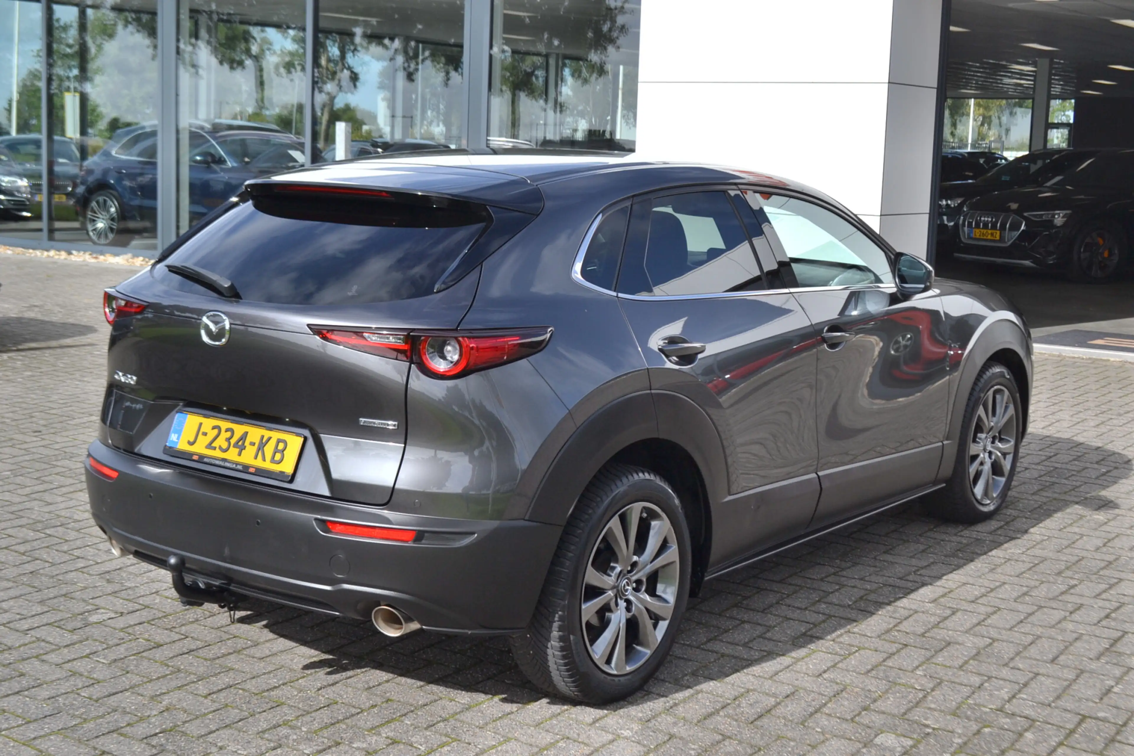 Mazda CX-30 2.0 e-SkyActiv-X M Hybrid Luxury BOSE | Memory sto — photo 6