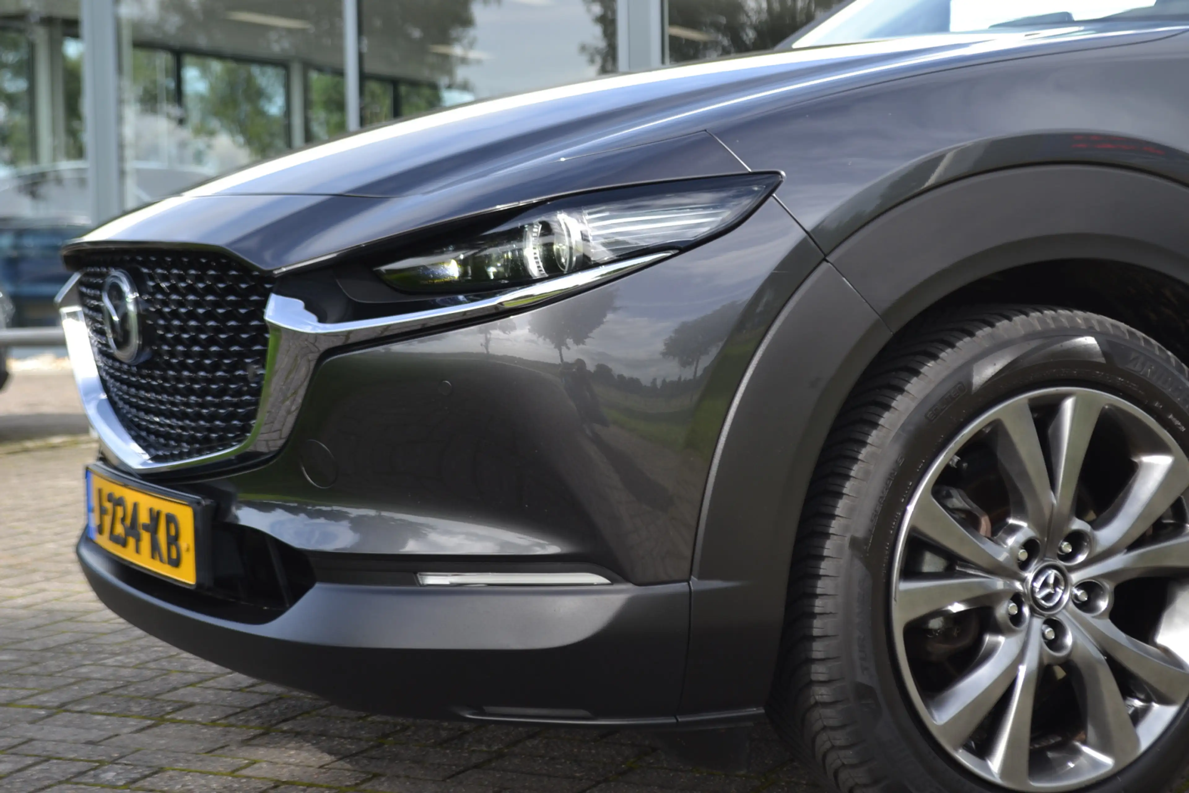 Mazda CX-30 2.0 e-SkyActiv-X M Hybrid Luxury BOSE | Memory sto — photo 9