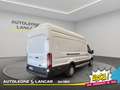 Ford Transit 350 2.2 tdci 125cv L4H3 Bianco - thumbnail 7