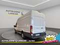 Ford Transit 350 2.2 tdci 125cv L4H3 Bianco - thumbnail 5