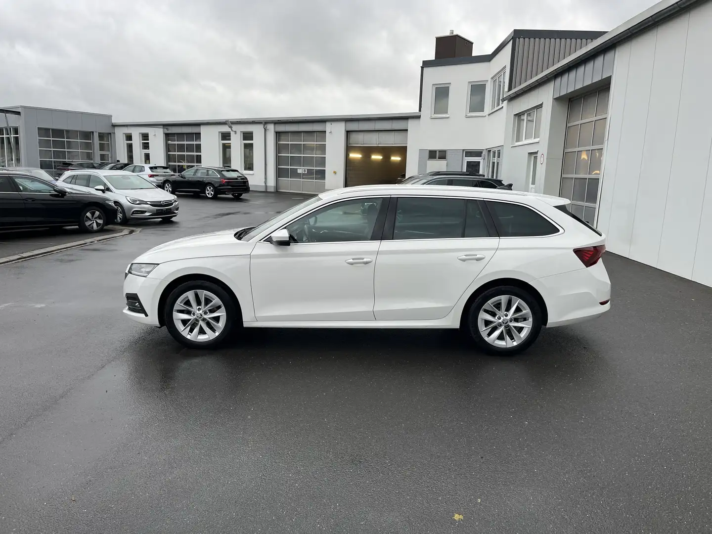 Skoda Octavia Combi 2.0 TDI DSG Style 171€ m. 20% Anzahlung AH Weiß - 2