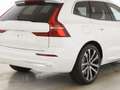 Volvo XC60 T8 Recharge AWD Plus Bright 21"+LUFTFAHRWER Biały - thumbnail 9
