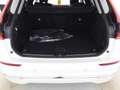 Volvo XC60 T8 Recharge AWD Plus Bright 21"+LUFTFAHRWER Weiß - thumbnail 7
