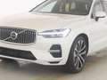 Volvo XC60 T8 Recharge AWD Plus Bright 21"+LUFTFAHRWER Biały - thumbnail 8