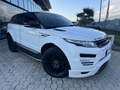 Land Rover Range Rover Evoque 5p 2.2 td4 Dynamic 150cv Blanc - thumbnail 4