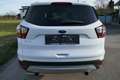 Ford Kuga Cool&Connect Blanc - thumbnail 4