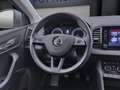 Skoda Karoq 1.0 TSI DRIVE 125 NAVI PDC SITZHZG KLIMA Grau - thumbnail 11
