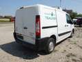 Toyota Proace Kühlwagen Weiß - thumbnail 3
