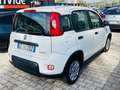 Fiat Panda Panda III 2021 1.0 firefly hybrid SUPER PROMO!!! Blanc - thumbnail 4