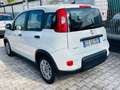 Fiat Panda Panda III 2021 1.0 firefly hybrid SUPER PROMO!!! Blanc - thumbnail 3
