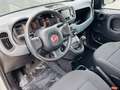 Fiat Panda Panda III 2021 1.0 firefly hybrid SUPER PROMO!!! Blanc - thumbnail 5
