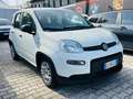 Fiat Panda Panda III 2021 1.0 firefly hybrid SUPER PROMO!!! Blanc - thumbnail 2
