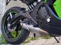 Kawasaki ER - 6 F Kawasaki ER 6 F ER 650 ABS  * tiefergelegt A2 Grün - thumbnail 4
