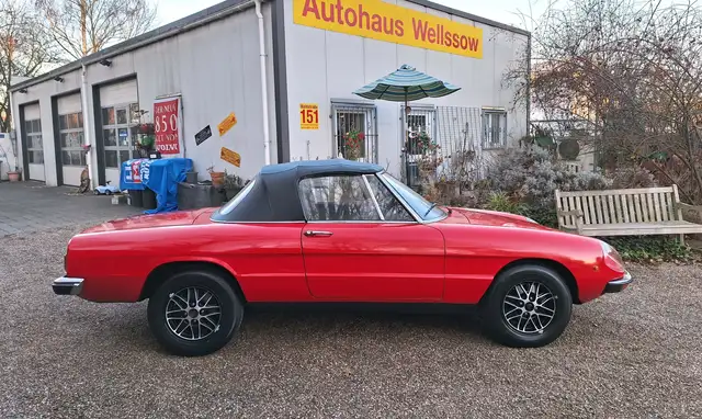 Alfa Romeo Spider Junior 1.3 H-Kennzeichen