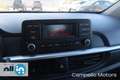 Kia Picanto Picanto 1.0 12V 5 porte Urban Nero - thumbnail 10