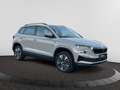 Skoda Karoq 2,0 TDI DSG Tour Matrix/360Kamera Gris - thumbnail 8