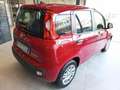 Fiat Panda 1.0 FireFly S&S Hybrid Icon km0 Rosso - thumbnail 6