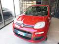 Fiat Panda 1.0 FireFly S&S Hybrid Icon km0 Rosso - thumbnail 3