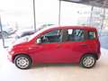 Fiat Panda 1.0 FireFly S&S Hybrid Icon km0 Rosso - thumbnail 8