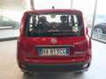 Fiat Panda 1.0 FireFly S&S Hybrid Icon km0 Rosso - thumbnail 7