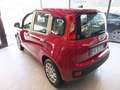 Fiat Panda 1.0 FireFly S&S Hybrid Icon km0 Rosso - thumbnail 4