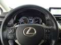 Lexus NX 300 1ª SERIE Hybrid 4WD Luxury Negro - thumbnail 14