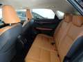 Lexus NX 300 1ª SERIE Hybrid 4WD Luxury Negro - thumbnail 10
