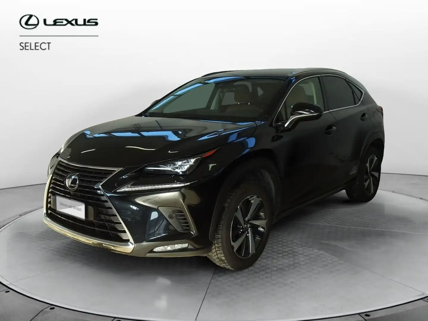 Lexus NX 300 1ª SERIE Hybrid 4WD Luxury Negro - 1