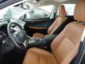 Lexus NX 300 1ª SERIE Hybrid 4WD Luxury Negro - thumbnail 9