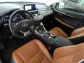 Lexus NX 300 1ª SERIE Hybrid 4WD Luxury Negro - thumbnail 8