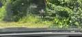 Volkswagen ID.7 ID.7 Tourer Pro S Business 210 kW / 86kWh Business Schwarz - thumbnail 14
