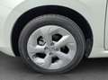Suzuki Swift 1,2 Hybrid Shine Weiß - thumbnail 21