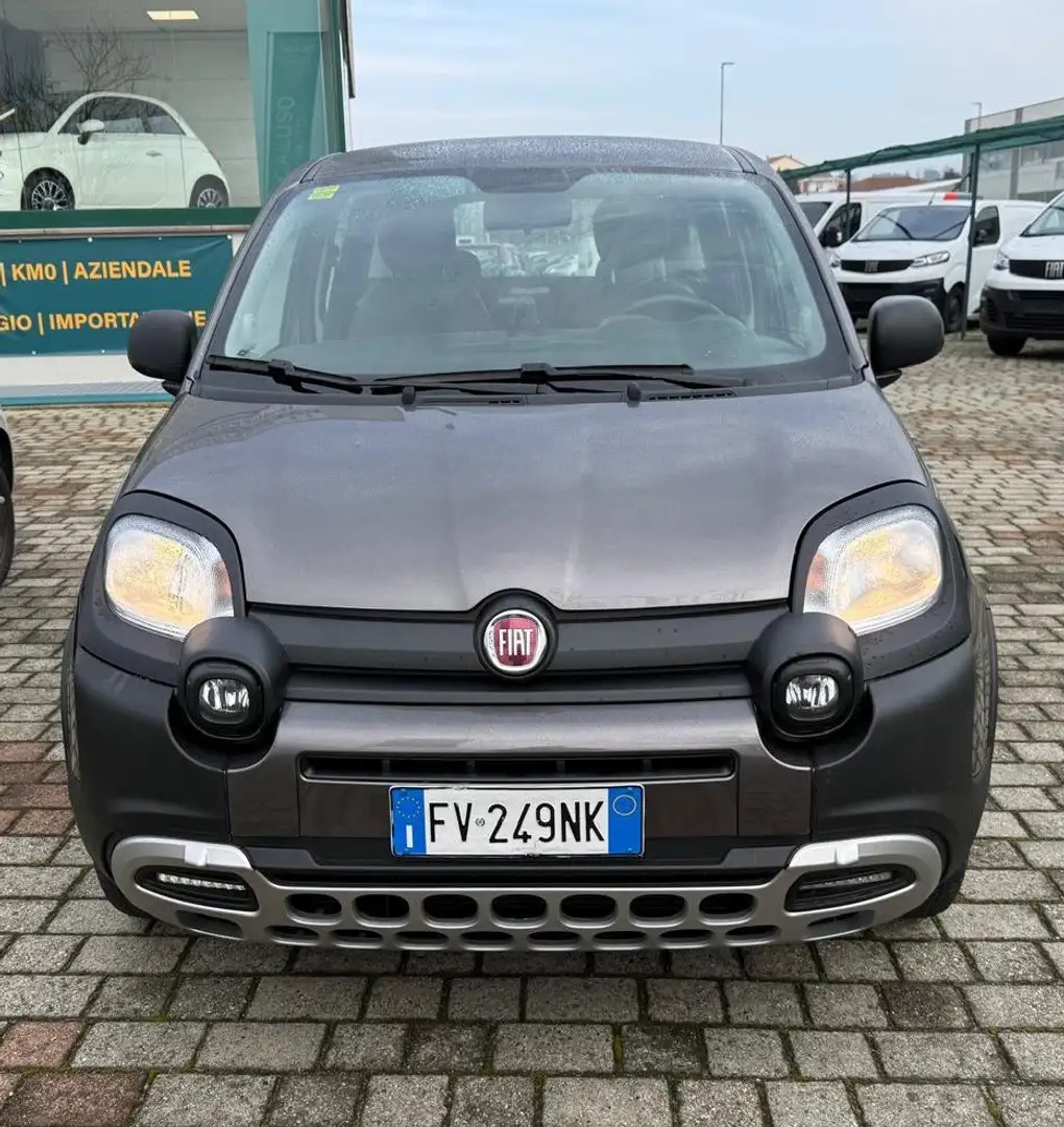 Fiat Panda Panda III 2016 1.2 City Cross s Grau - 2