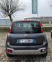 Fiat Panda Panda III 2016 1.2 City Cross s Grau - thumbnail 5